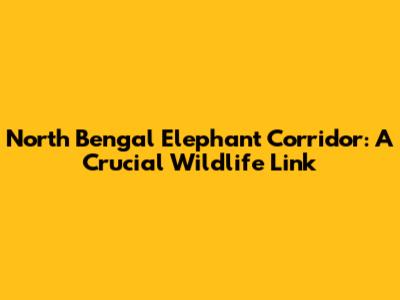 North Bengal Elephant Corridor: A Crucial Wildlife Link