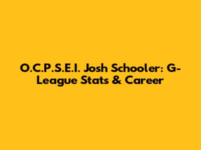 O.C.P.S.E.I. Josh Schooler: G-League Stats & Career