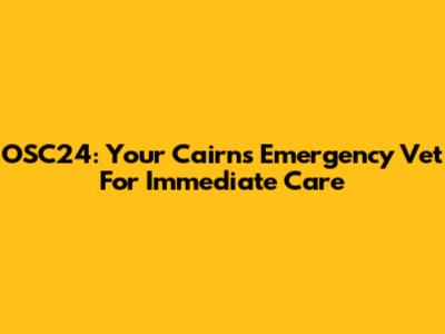 OSC24: Your Cairns Emergency Vet For Immediate Care