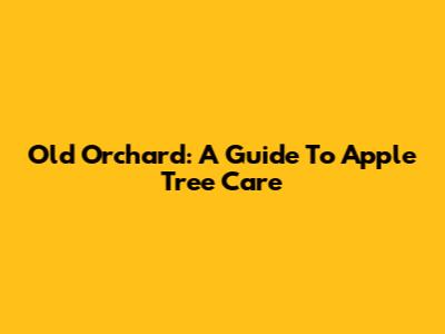 Old Orchard: A Guide To Apple Tree Care