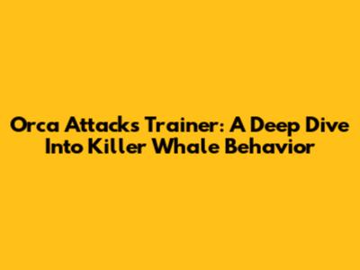 Orca Attacks Trainer: A Deep Dive Into Killer Whale Behavior