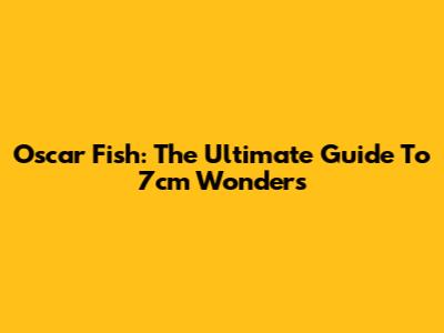 Oscar Fish: The Ultimate Guide To 7cm Wonders