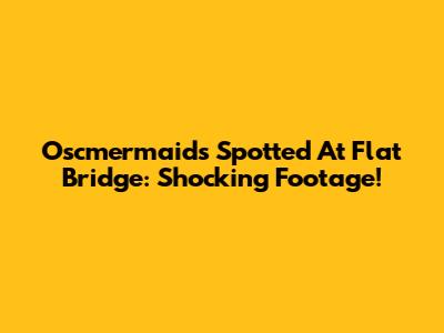 Oscmermaids Spotted At Flat Bridge: Shocking Footage!