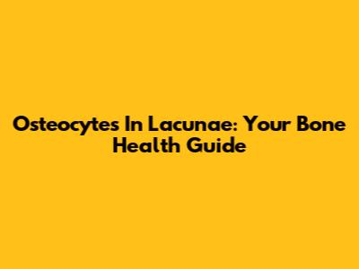 Osteocytes In Lacunae: Your Bone Health Guide