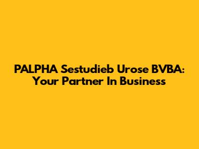 PALPHA Sestudieb Urose BVBA: Your Partner In Business