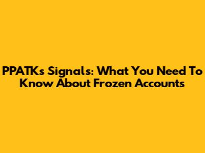 PPATK's Signals: What You Need To Know About Frozen Accounts