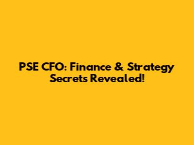 PSE CFO: Finance & Strategy Secrets Revealed!