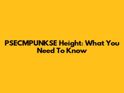 PSECMPUNKSE Height: What You Need To Know