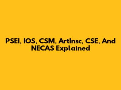 PSEI, IOS, CSM, ArtInsc, CSE, And NECAS Explained
