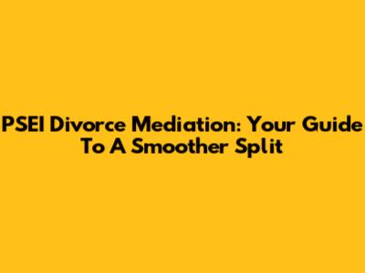 PSEI Divorce Mediation: Your Guide To A Smoother Split