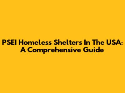 PSEI Homeless Shelters In The USA: A Comprehensive Guide