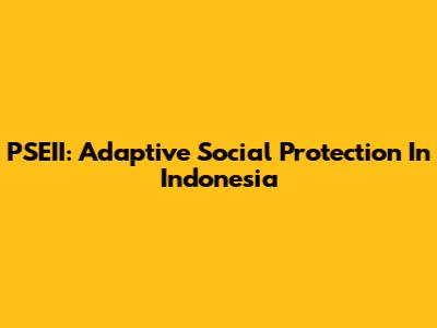 PSEII: Adaptive Social Protection In Indonesia