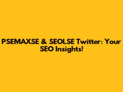 PSEMAXSE & SEOLSE Twitter: Your SEO Insights!