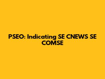 PSEO: Indicating SE CNEWS SE COMSE