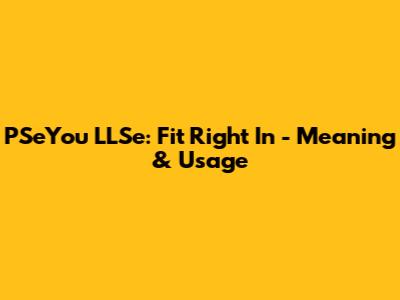 PSeYou LLSe: Fit Right In - Meaning & Usage