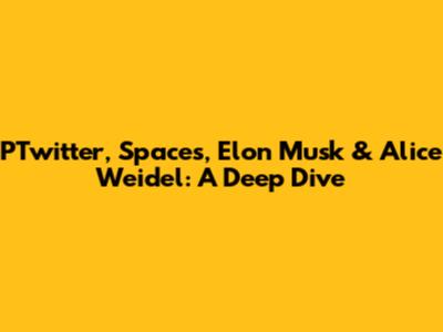 PTwitter, Spaces, Elon Musk & Alice Weidel: A Deep Dive