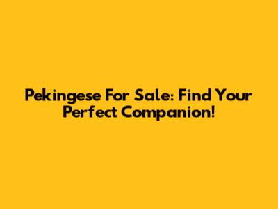 Pekingese For Sale: Find Your Perfect Companion!