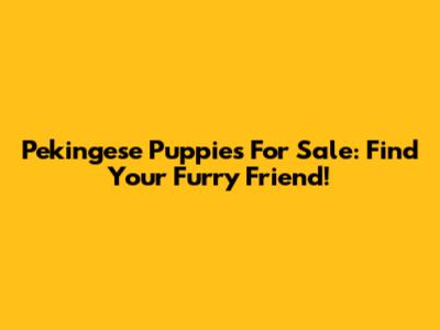 Pekingese Puppies For Sale: Find Your Furry Friend!
