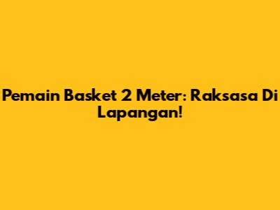 Pemain Basket 2 Meter: Raksasa Di Lapangan!