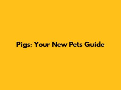 Pigs: Your New Pet's Guide
