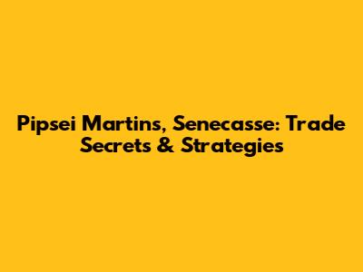 Pipsei Martins, Senecasse: Trade Secrets & Strategies