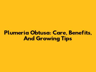 Plumeria Obtusa: Care, Benefits, And Growing Tips