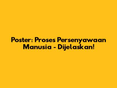 Poster: Proses Persenyawaan Manusia - Dijelaskan!
