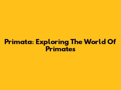 Primata: Exploring The World Of Primates