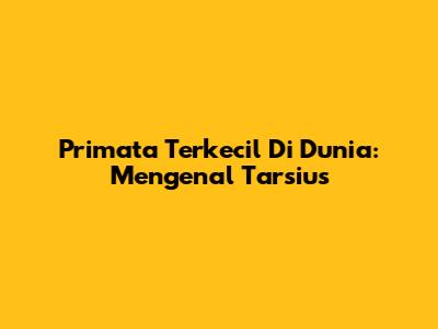 Primata Terkecil Di Dunia: Mengenal Tarsius