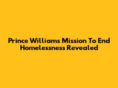 Prince William's Mission To End Homelessness Revealed