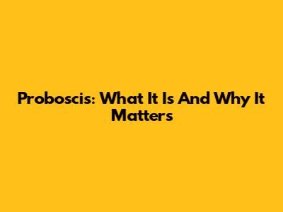 Proboscis: What It Is And Why It Matters
