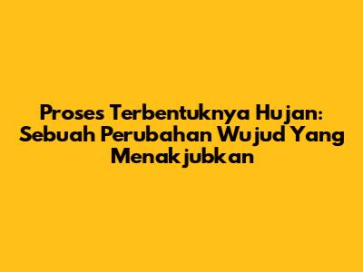 Proses Terbentuknya Hujan: Sebuah Perubahan Wujud Yang Menakjubkan