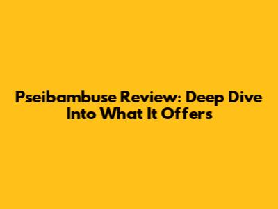 Pseibambuse Review: Deep Dive Into What It Offers