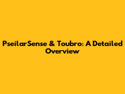 PseilarSense & Toubro: A Detailed Overview