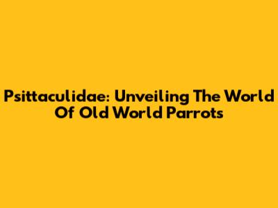 Psittaculidae: Unveiling The World Of Old World Parrots