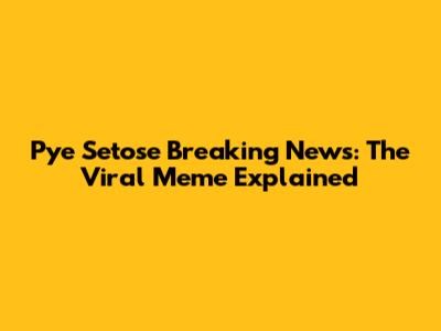 Pye Setose Breaking News: The Viral Meme Explained