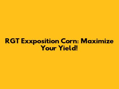 RGT Exxposition Corn: Maximize Your Yield!