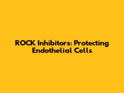 ROCK Inhibitors: Protecting Endothelial Cells