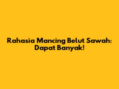 Rahasia Mancing Belut Sawah: Dapat Banyak!