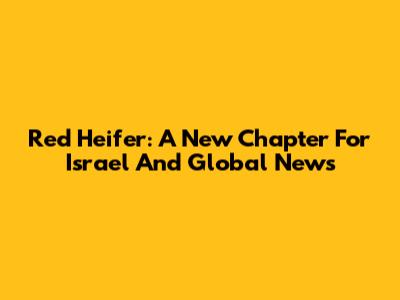 Red Heifer: A New Chapter For Israel And Global News