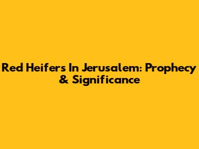 Red Heifers In Jerusalem: Prophecy & Significance