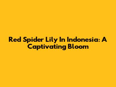 Red Spider Lily In Indonesia: A Captivating Bloom