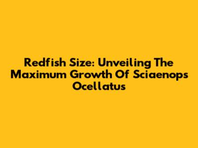 Redfish Size: Unveiling The Maximum Growth Of Sciaenops Ocellatus