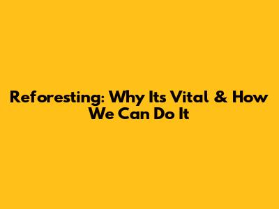 Reforesting: Why It's Vital & How We Can Do It