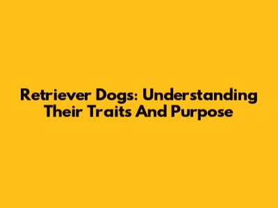 Retriever Dogs: Understanding Their Traits And Purpose