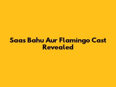 Saas Bahu Aur Flamingo Cast Revealed