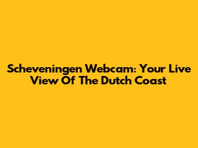 Scheveningen Webcam: Your Live View Of The Dutch Coast