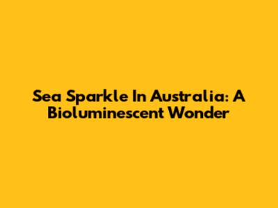 Sea Sparkle In Australia: A Bioluminescent Wonder