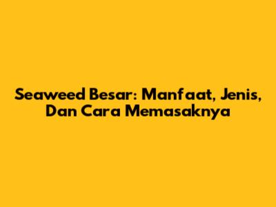 Seaweed Besar: Manfaat, Jenis, Dan Cara Memasaknya