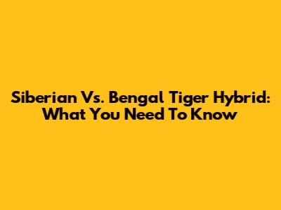 Siberian Vs. Bengal Tiger Hybrid: What You Need To Know
